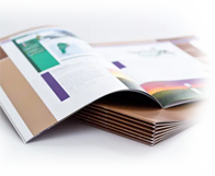 Saddle Stitch Booklets
